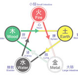 음양과 오행으로 체질의 기운을 설명